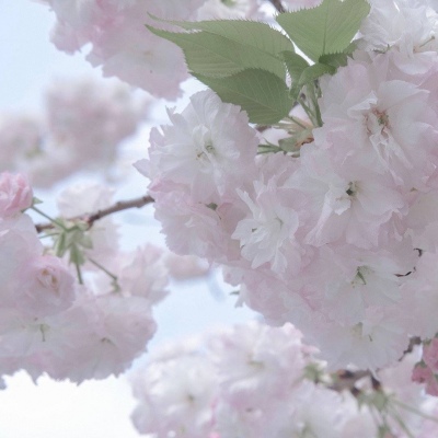 兽设复古风格设计福瑞群